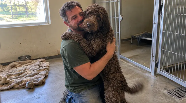 Un chien sauvé pendant la tempête refusait de s&rsquo;approcher de quiconque, jusqu&rsquo;au jour où il reconnut dans une photo de journal le sauveteur qui l&rsquo;avait sorti du sous-sol