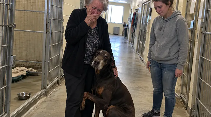 J&rsquo;étais simplement allée offrir une petite partie de mes économies au refuge. Deux jours plus tard, l’employée m&rsquo;a appelée : « Le chien que vous avez regardé ne cesse de pleurer. Il n&rsquo;attend que vous»