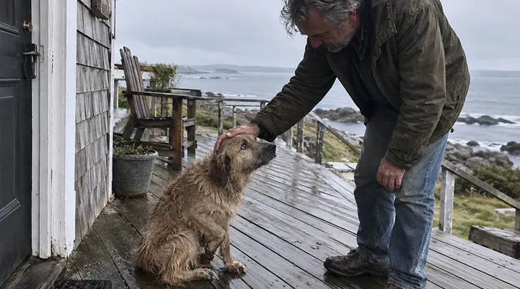 Un jour de pluie, un chien effrayé et blessé est apparu devant ma porte. Ce chien, Léo, est devenu la raison pour laquelle j&rsquo;ai réappris à vivre