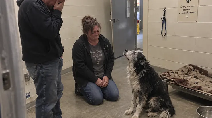 Il était vieux, malade et oublié, et son nom avait été retiré de la liste d&rsquo;adoption. Mais un couple le reconnut en ligne : c&rsquo;était leur chien, perdu des années auparavant