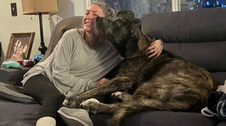 Elle avait plongé dans une rivière glacée pour sauver son chien : quatre mois plus tard, ils étaient retrouvés ensemble